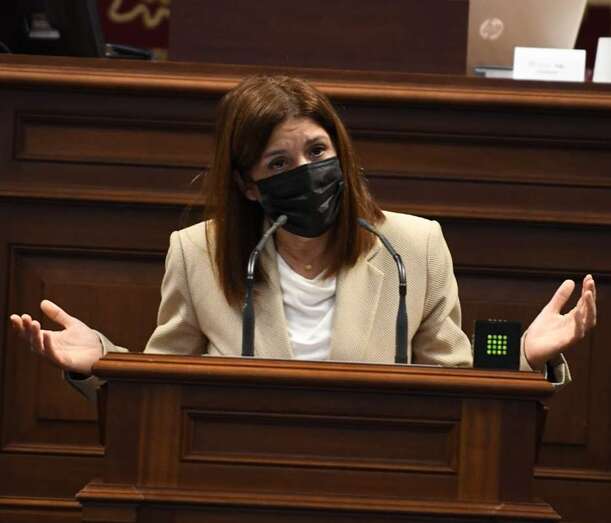 Carmen Hernández, este miércoles en el Parlamento canario / TA